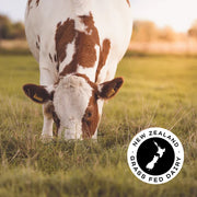 Pillar Whey Protein Isolate 1kg 30 Serve - fuelld.co.nz